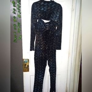 Two piece Black Velvet cat soup